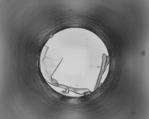 X0000115200505200912091137