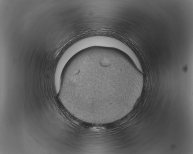 X0000115200508200912091137