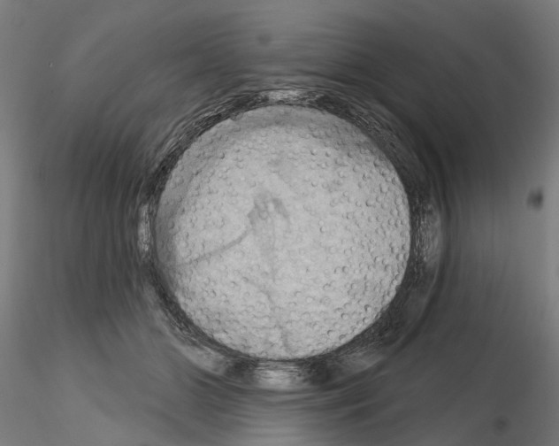 X0000115200510200912091137