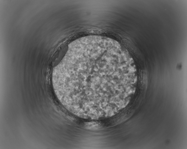 X0000115200511200912091137