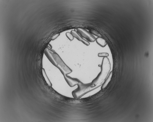 X0000115200513200912091137