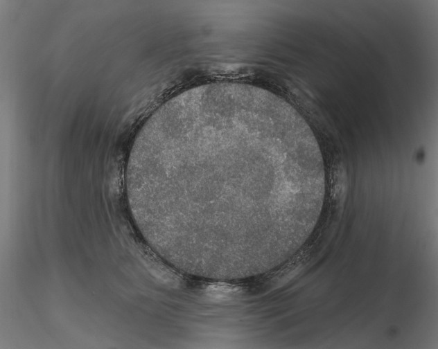 X0000115200515200912091137