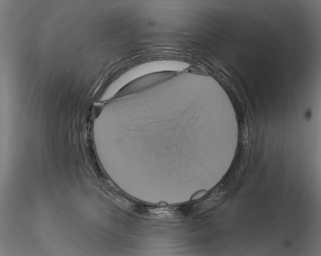 X0000115200516200912091137