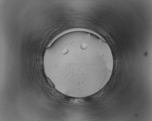 X0000115200517200912091137