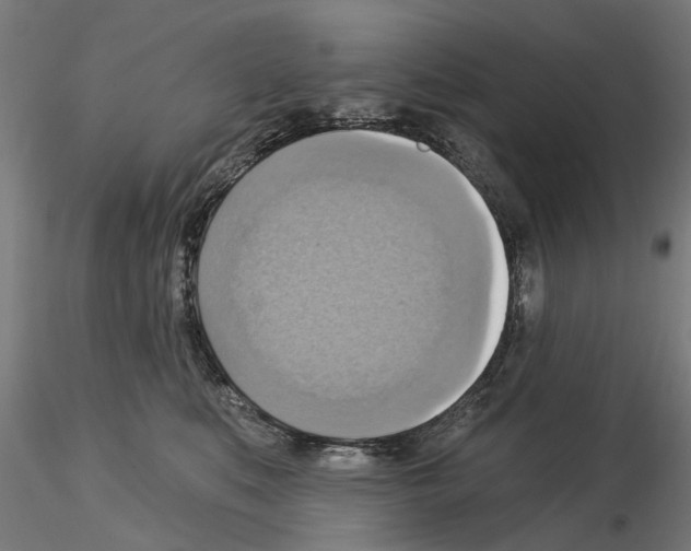 X0000115200519200912091137