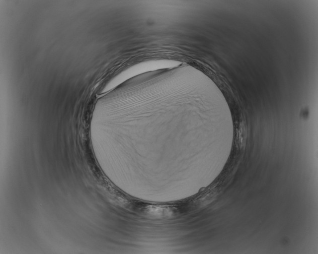 X0000115200520200912091137