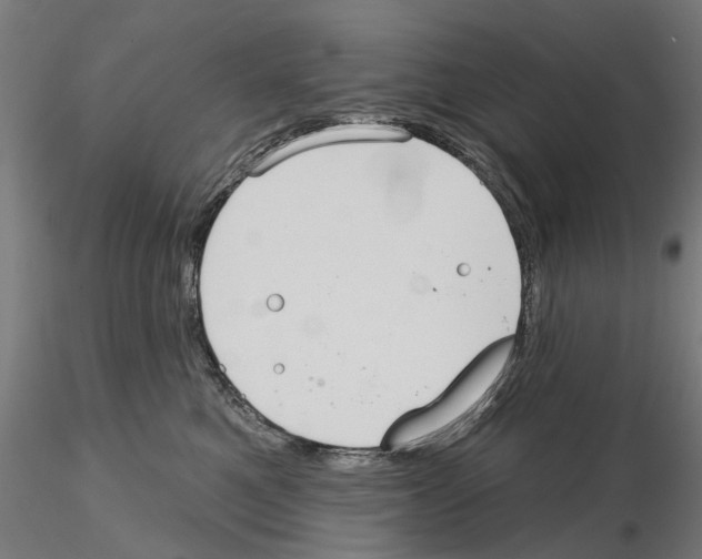 X0000115200521200912091137