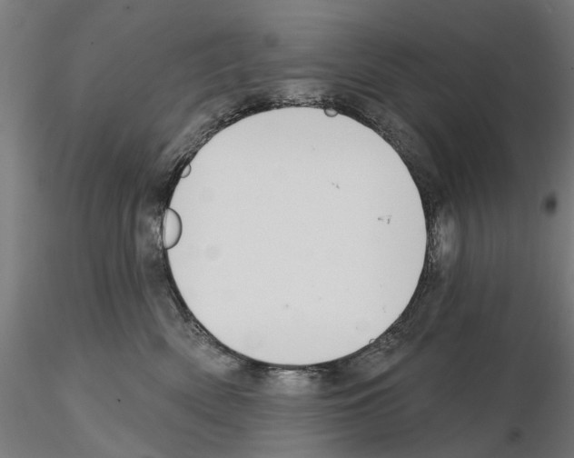 X0000115200522200912091137