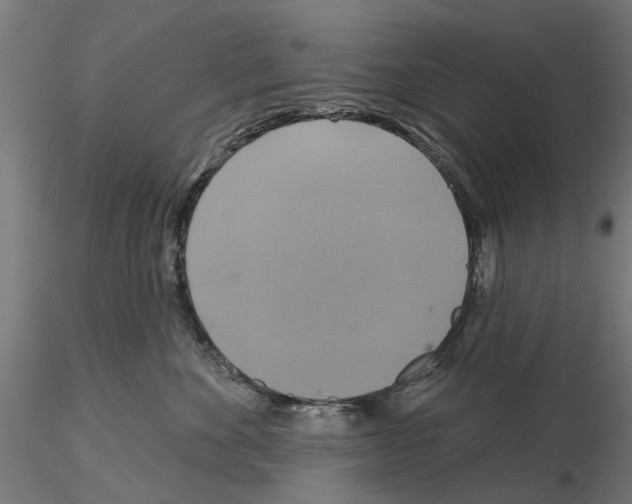 X0000115200524200912091137