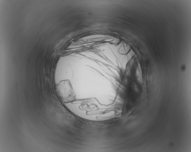 X0000115200525200912091137