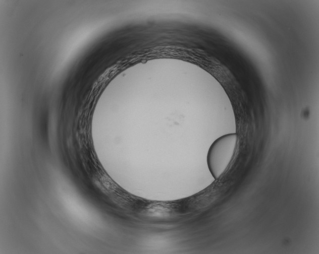 X0000115200526200912091137