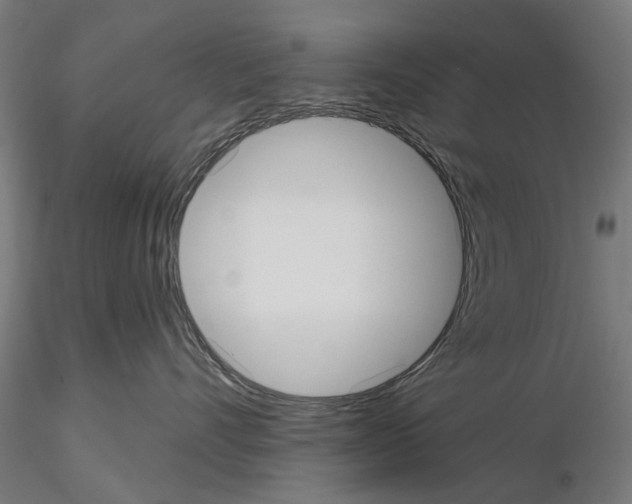 X0000115200528200912091137