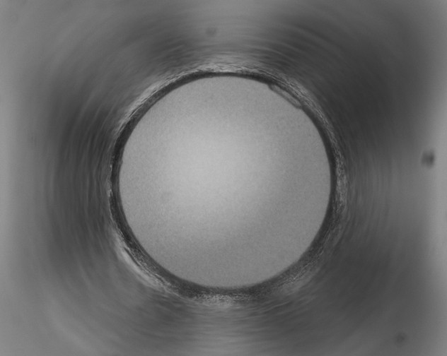 X0000115200530200912091137