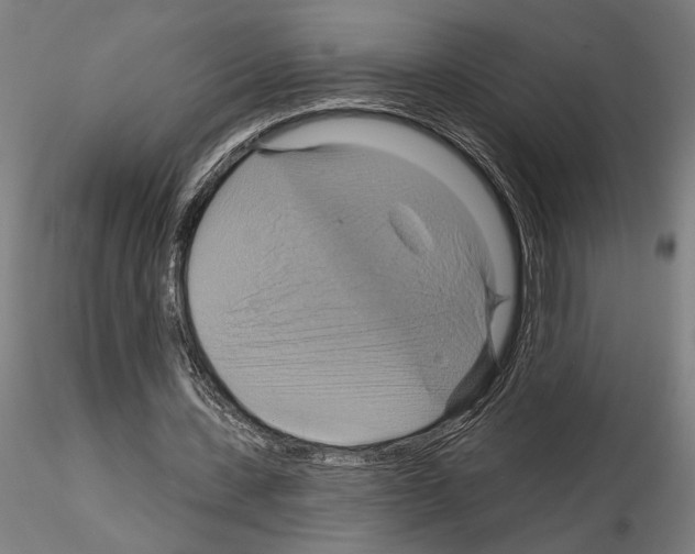 X0000115200531200912091137