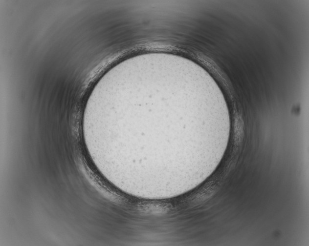 X0000115200533200912091137