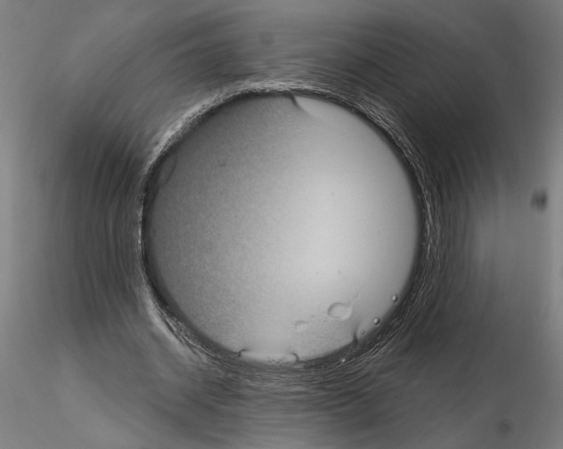 X0000115200534200912091137