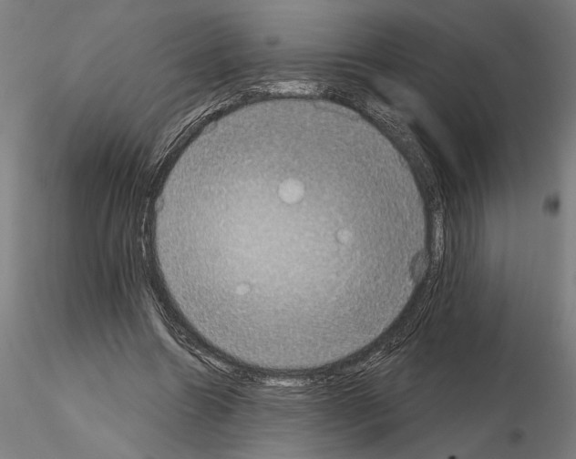 X0000115200538200912091137