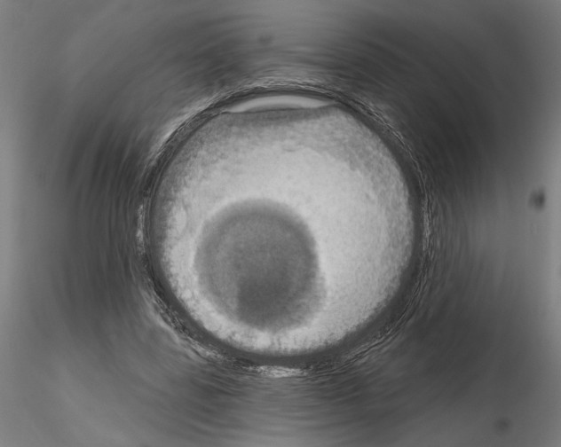 X0000115200539200912091137