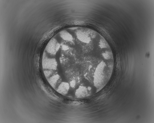 X0000115200542200912091137