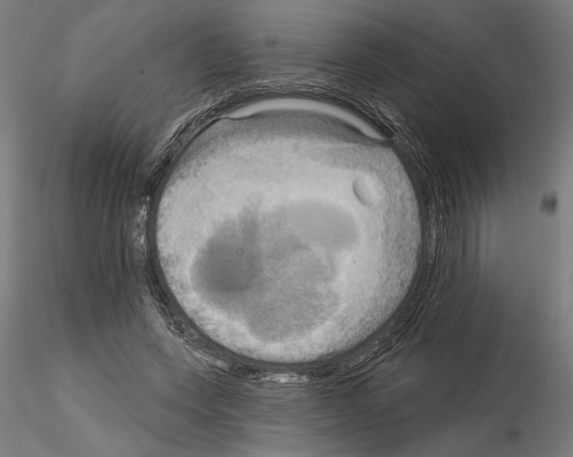 X0000115200543200912091137