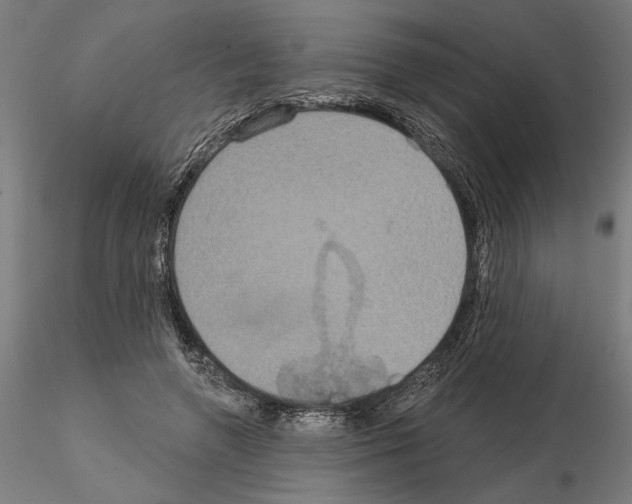 X0000115200546200912091137