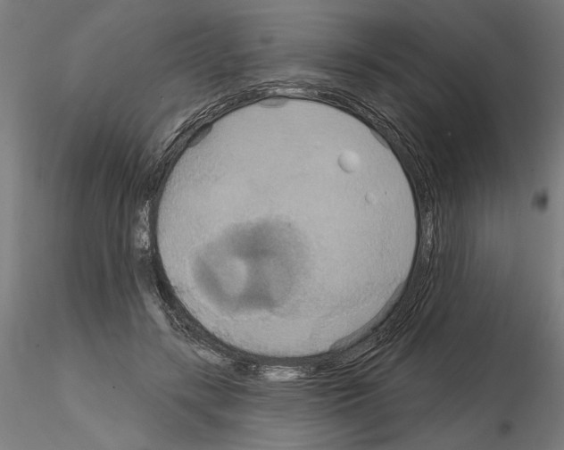 X0000115200547200912091137