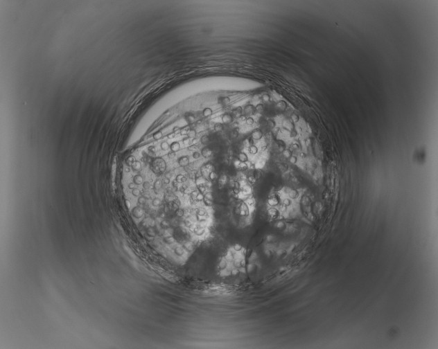 X0000115200550200912091137