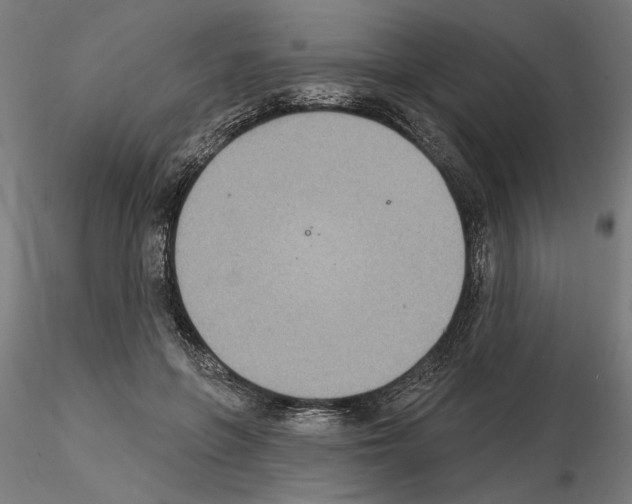 X0000115200551200912091137