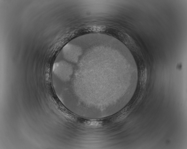 X0000115200553200912091137