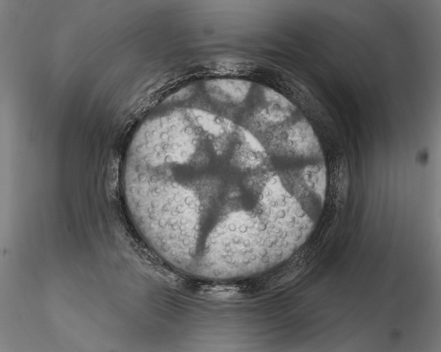 X0000115200554200912091137