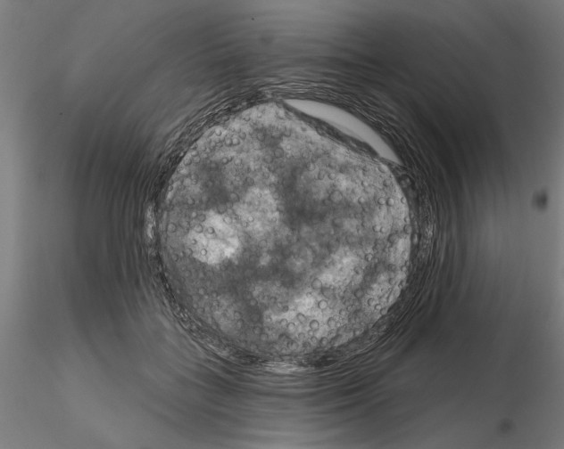 X0000115200555200912091137