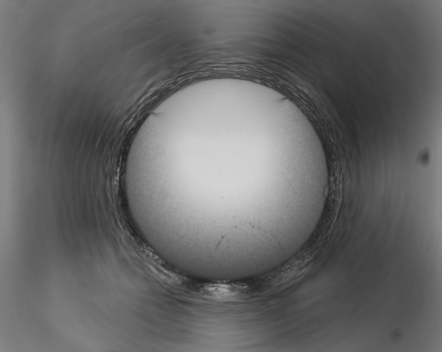 X0000115200558200912091137