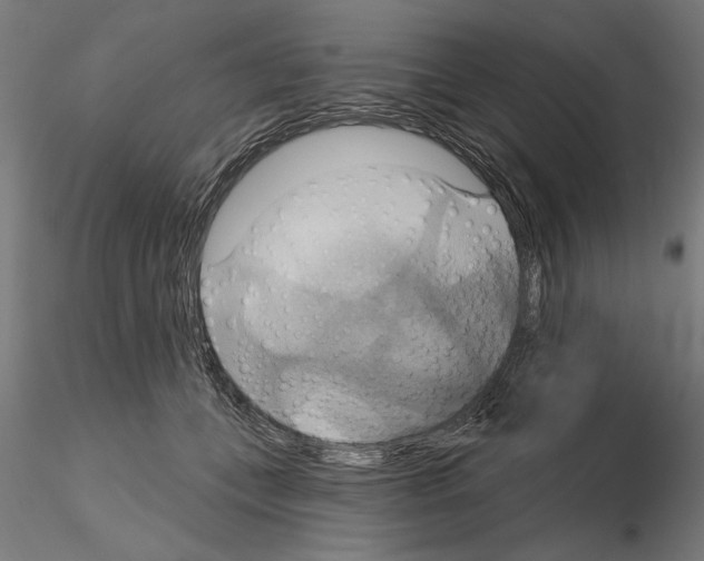 X0000115200559200912091137