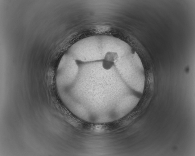 X0000115200565200912091137