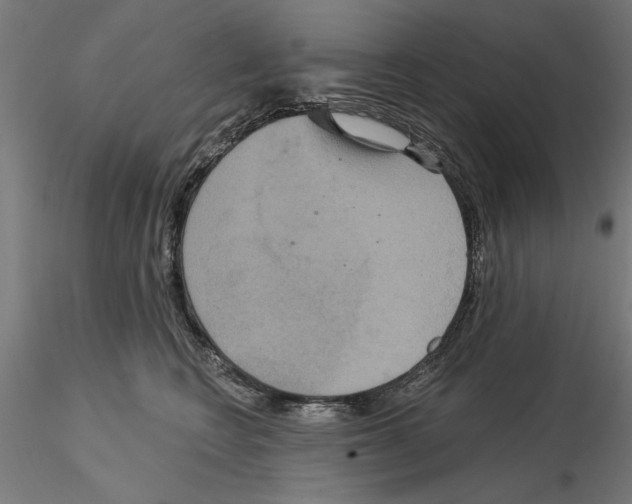 X0000115200566200912091137