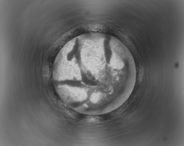 X0000115200569200912091137