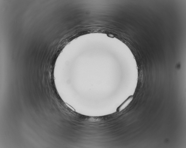 X0000115200570200912091137