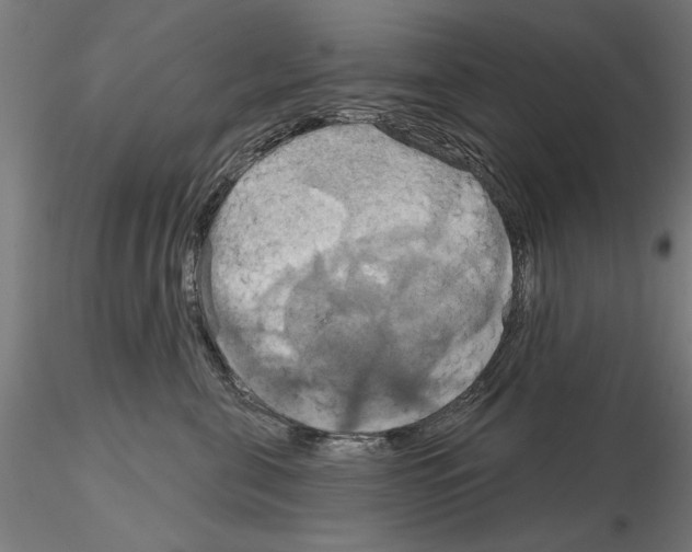 X0000115200571200912091137