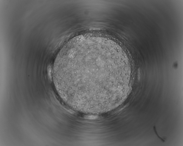 X0000115200575200912091137