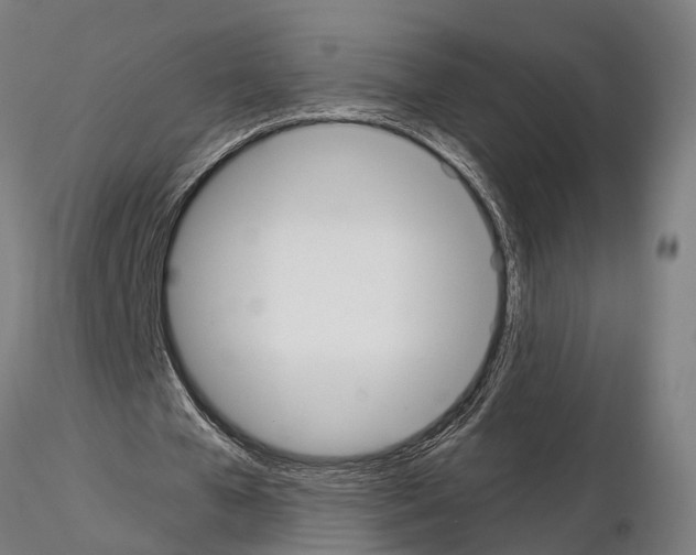 X0000115200577200912091136