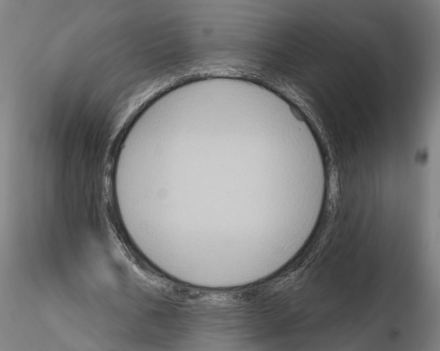 X0000115200578200912091136