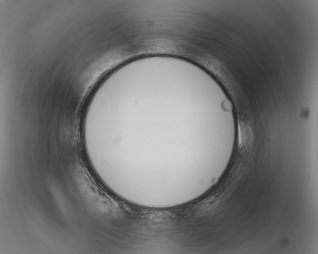 X0000115200579200912091136