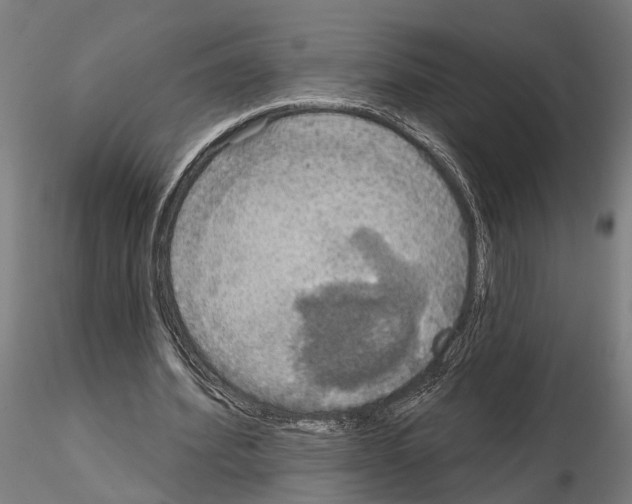 X0000115200580200912091136