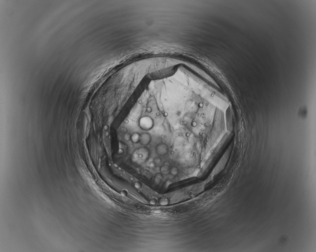 X0000115200581200912091136