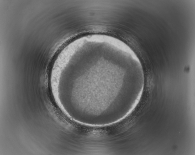 X0000115200584200912091136