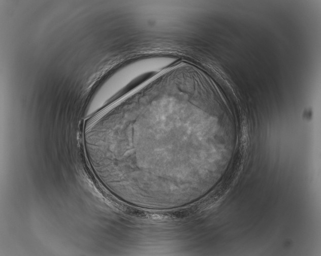 X0000115200585200912091136