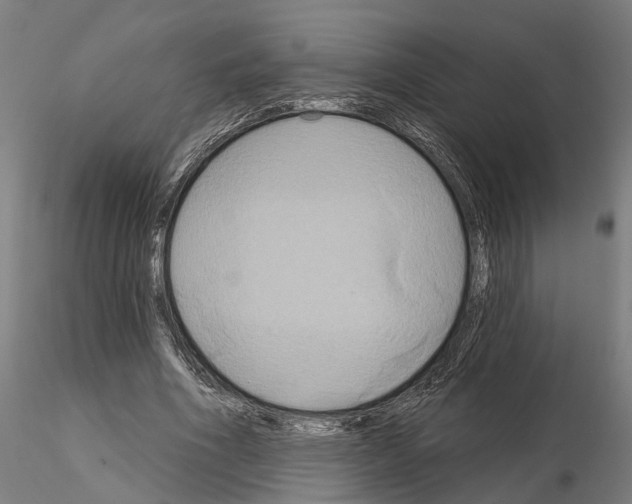 X0000115200586200912091136