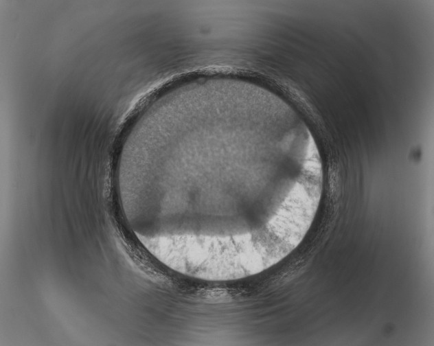 X0000115200588200912091136