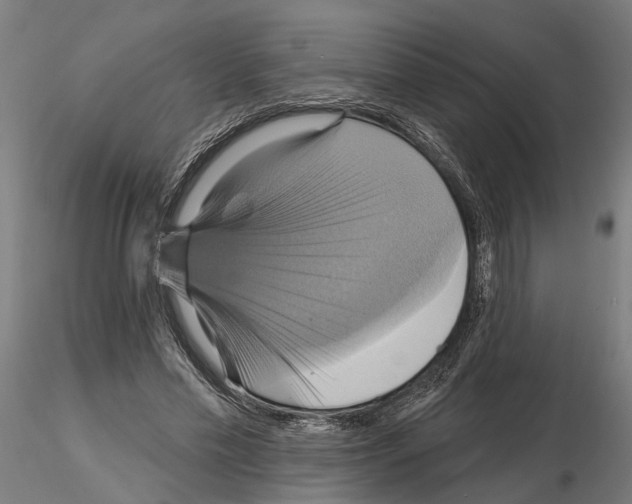 X0000115200589200912091136