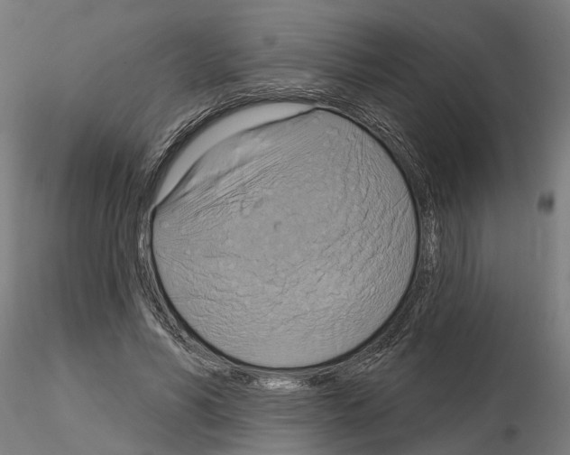 X0000115200590200912091136